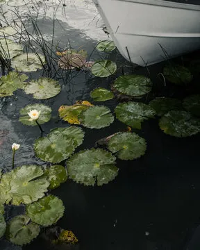 多源校验流程预览